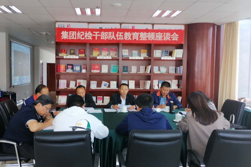 集團(tuán)紀(jì)委召開紀(jì)檢干部隊(duì)伍教育整頓工作座談會