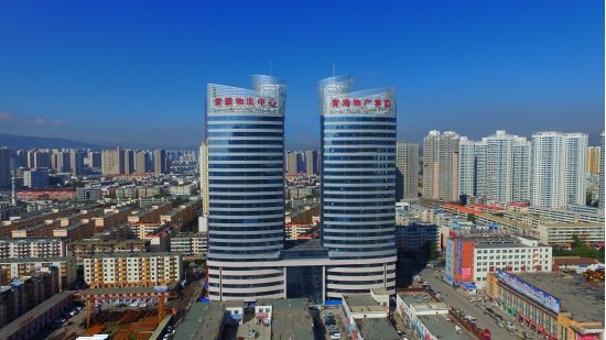 繼往開(kāi)來(lái)，革故鼎新，再創(chuàng)輝煌――物產(chǎn)化工公司舉行揭牌儀式